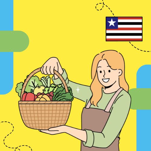 MARANHÃO | Hortas Comunitárias – Centro do Primo