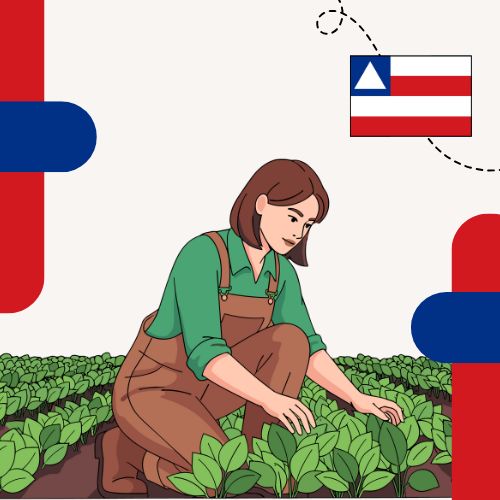 Projeto Mulheres Rurais em Rede – Bahia